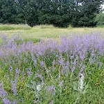 Perigord Dordogne Rocamadour Sarlat Cahors Naturiste Juin A Sept