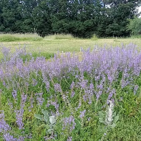 Naturistes Périgord Rocamadour Sarlat Naturiste De Mi Mai à Septembre