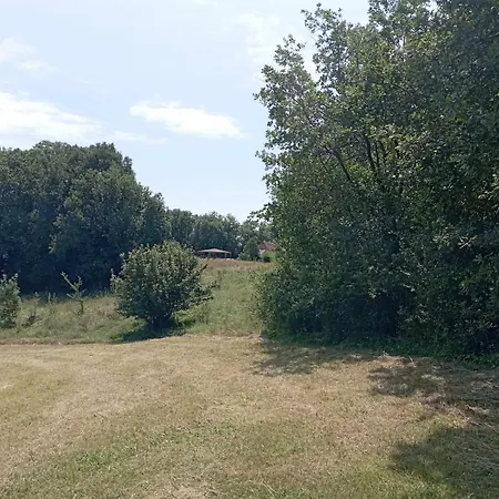 Perigord Dordogne Rocamadour Sarlat Cahors Naturiste Juin A Sept Holiday home Salviac