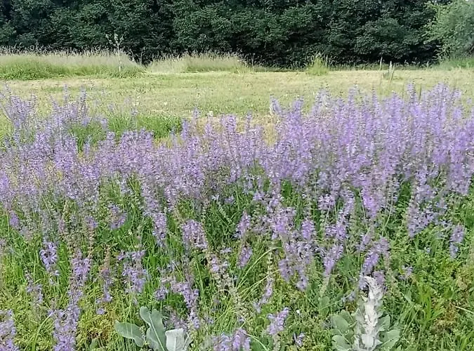 Perigord Dordogne Rocamadour Sarlat Cahors Naturiste Juin A Sept